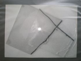 DSCN5451.JPG